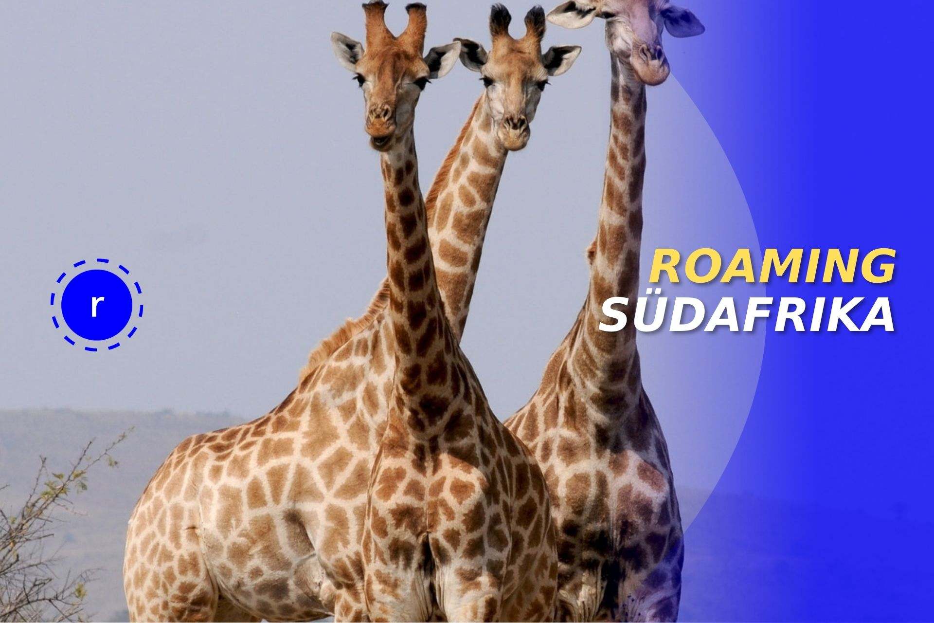 roaming suedafrika handy prepaid datentarif