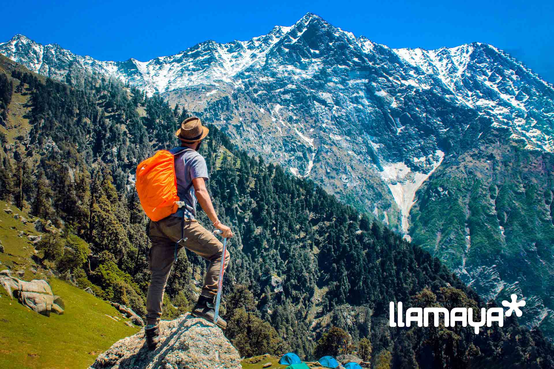 roaming llamaya