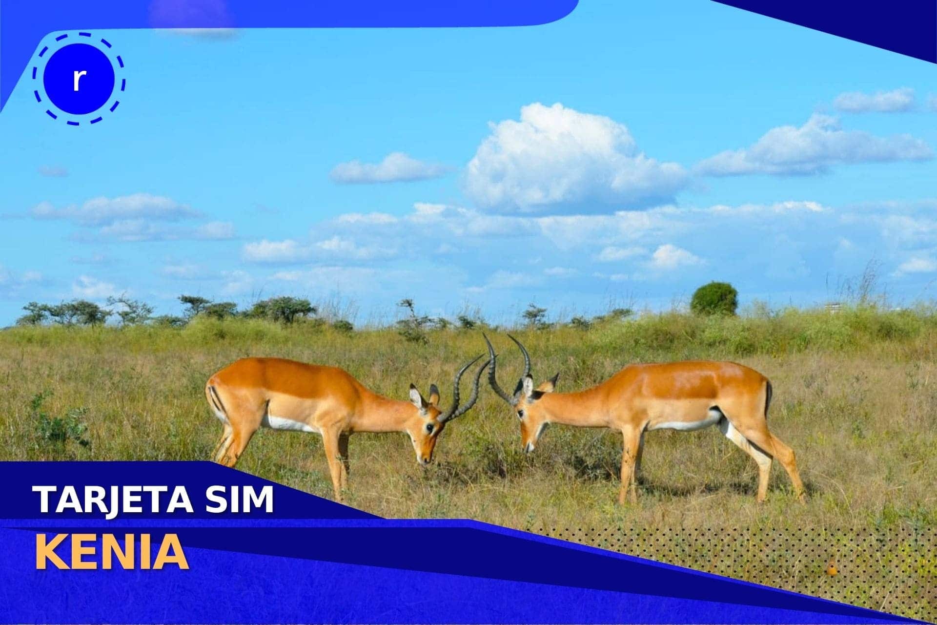 Conéctate a internet durante tu viaje por medio de la nueva tarjeta SIM Kenia