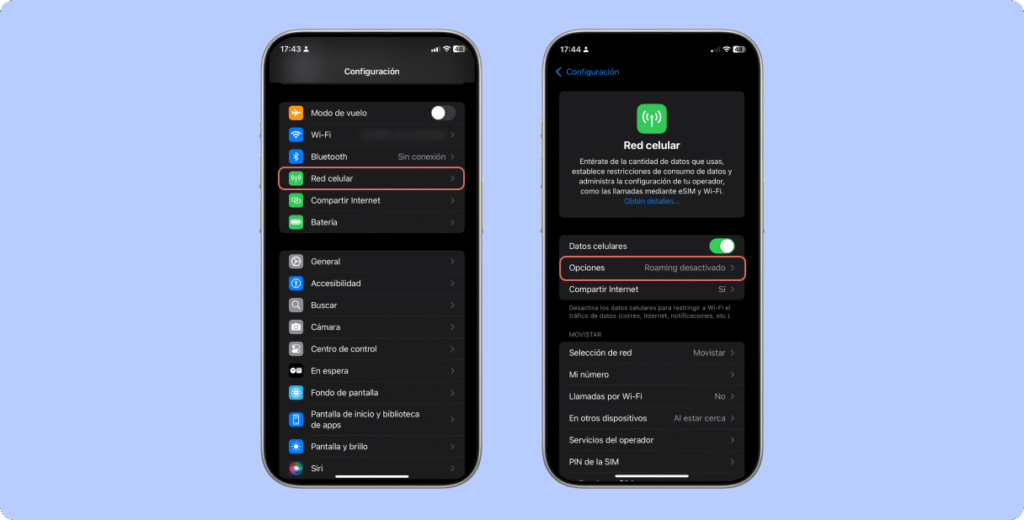 ¿Qué significa_6.Restablece los ajustes de red - iPhone(1)