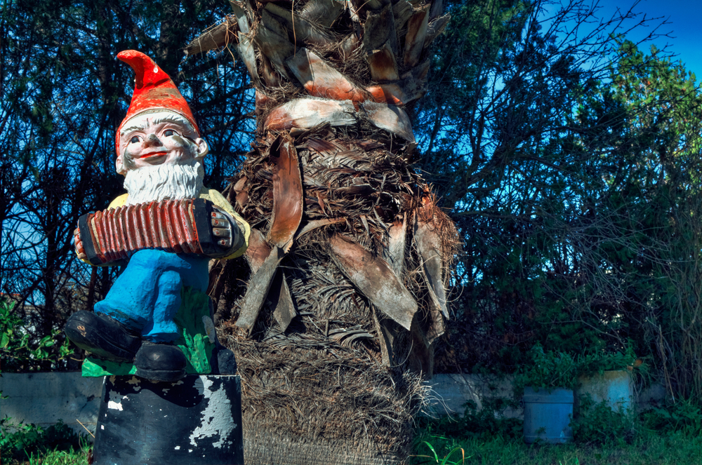 igura de un gnomo de jardín con gorro rojo, barba blanca y acordeón entre las manos, colocada sobre un pedestal negro desgastado junto al tronco de una palmera. Al fondo, vegetación espesa y cielo azul. La imagen fue tomada en un entorno exterior, conocido popularmente como la “Casa del Duende” en Sevilla, un lugar envuelto en leyendas y misterio.