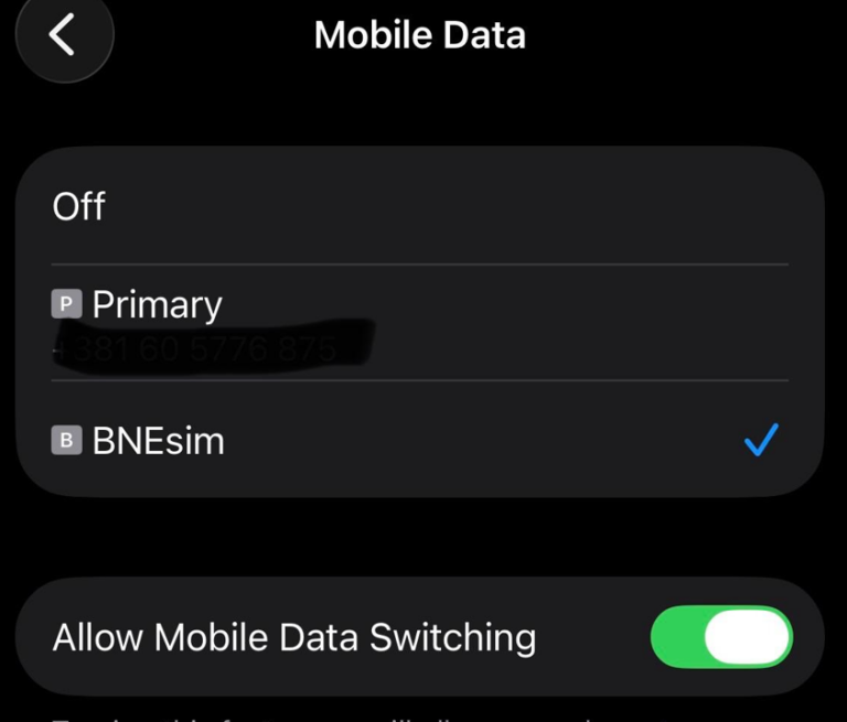 Pantalla de “Mobile Data” en un iPhone: opciones para elegir la línea de datos (Primary y BNEsim), con BNEsim seleccionada, y la opción “Allow Mobile Data Switching” activada.