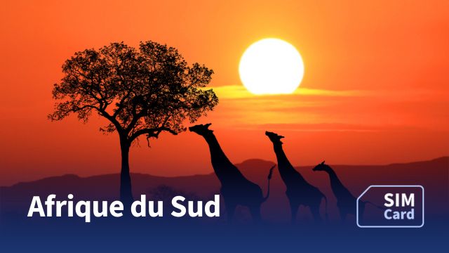 Carte SIM pour l’Afrique du Sud