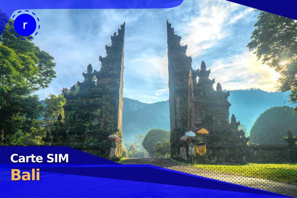 carte sim holafly bali prépayée