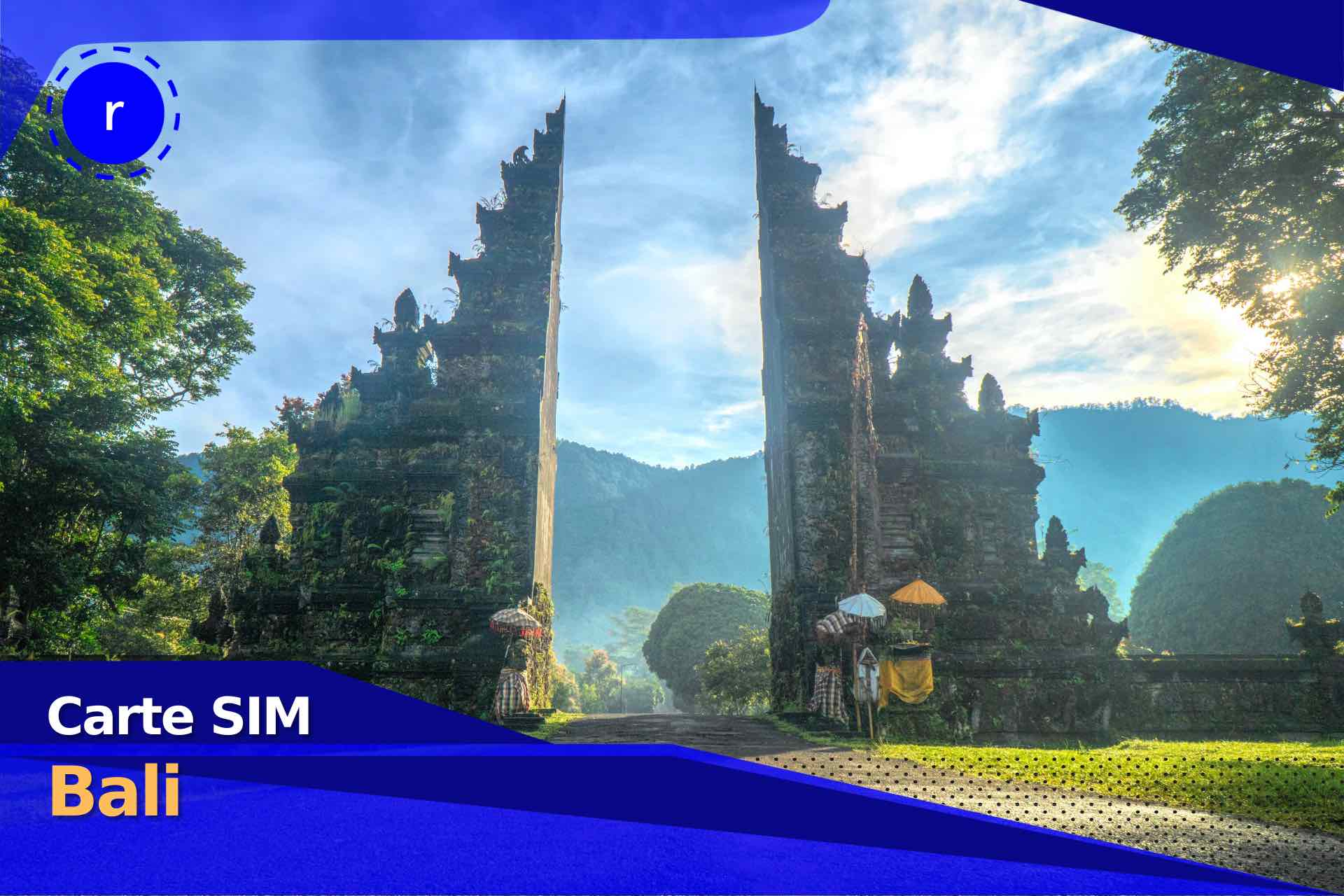 carte sim holafly bali prépayée