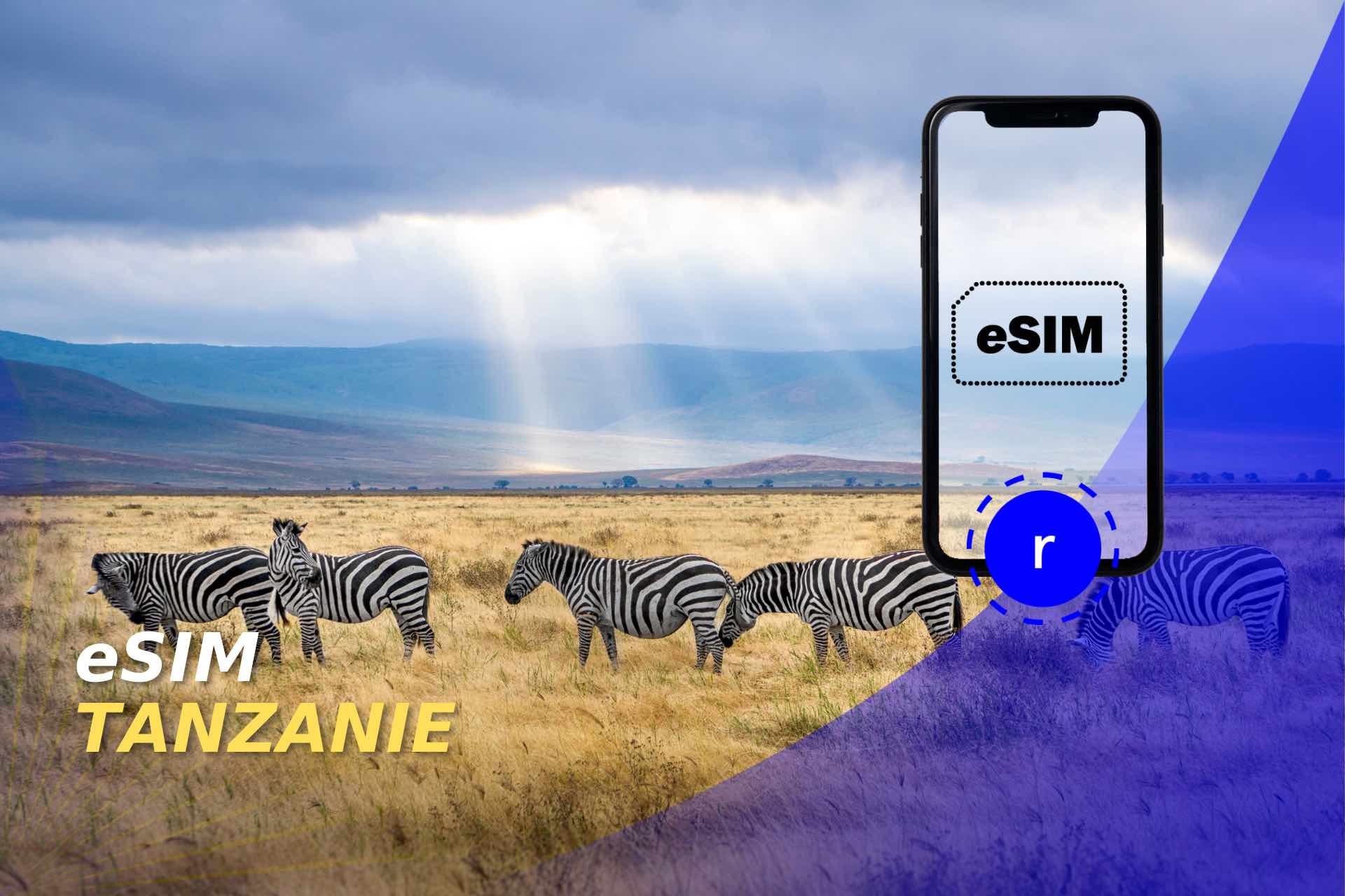 esim carte tanzanie holafly prepayee
