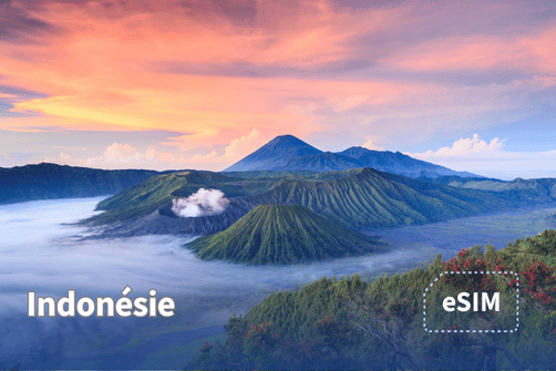 eSIM Indonésie – comparatif des meilleures eSIM pour voyager en Indonésie avec données illimitées et réseau fiable sur toutes les îles