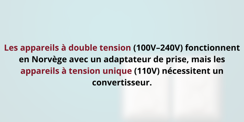 Double ou simple tension&nbsp;: convertisseur nécessaire en Norvège