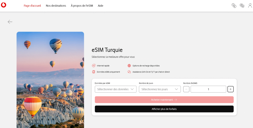 Fournisseurs eSIM Turquie&nbsp;: Vodafone