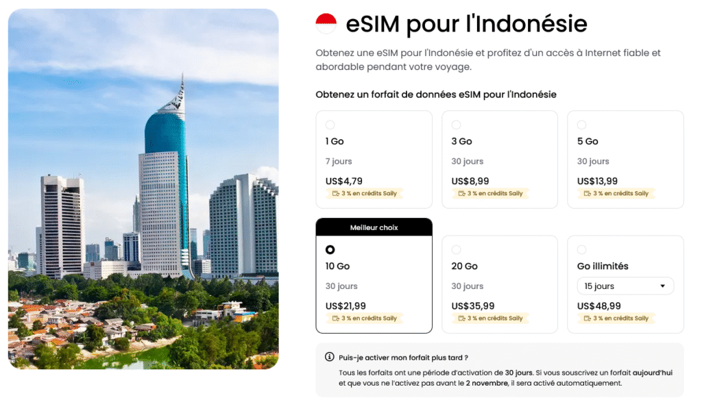 Saily eSIM Bali – simplicité et sécurité avec interface intuitive
