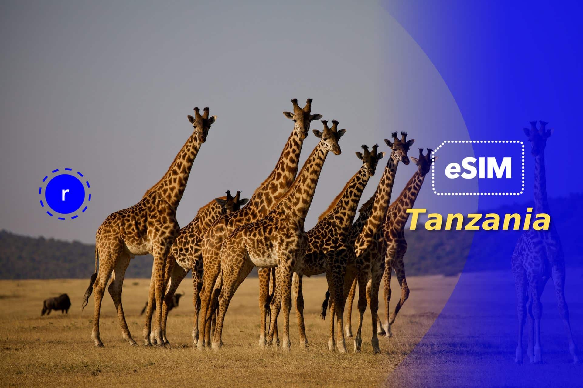 eSIM Tanzania