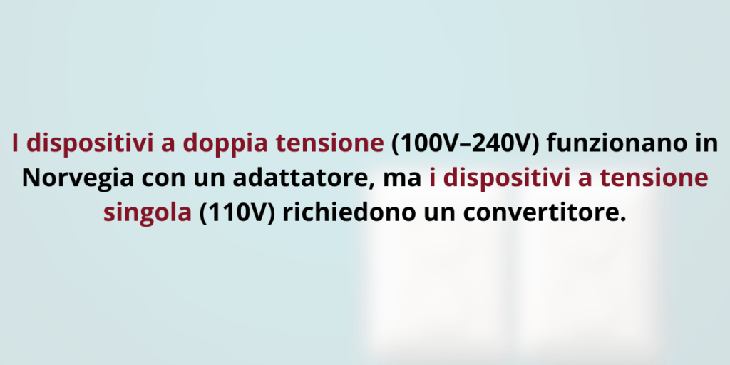 Doppia o singola tensione: serve un convertitore in Norvegia