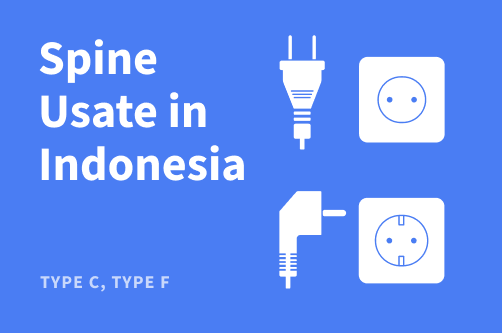 Spine e prese usate in Indonesia