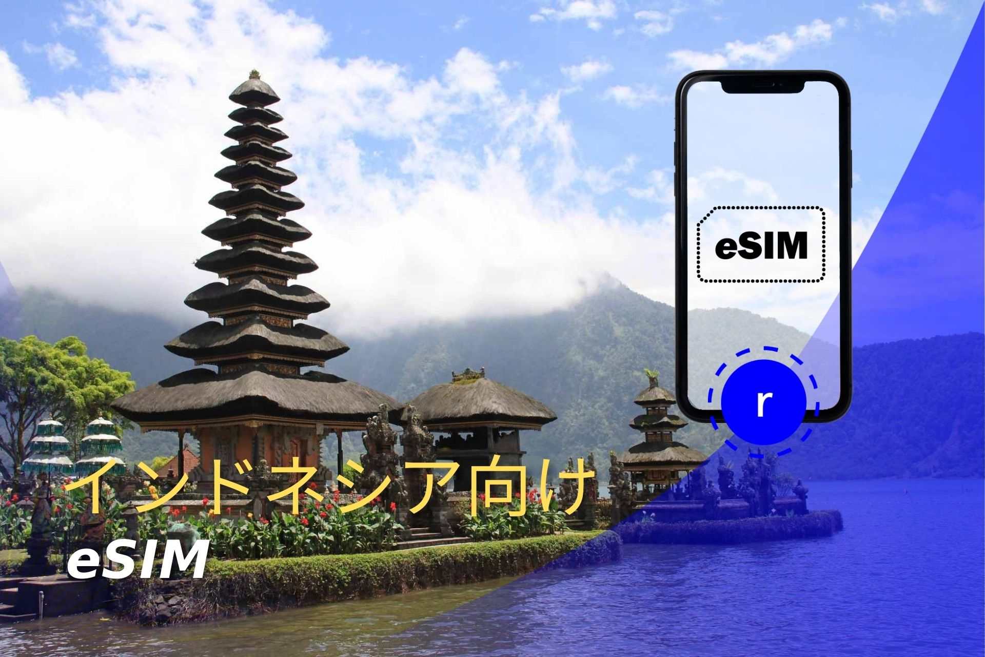 esim インドネシア スマートフォン データ通信 holafly モバイルデータ通信　携帯電話