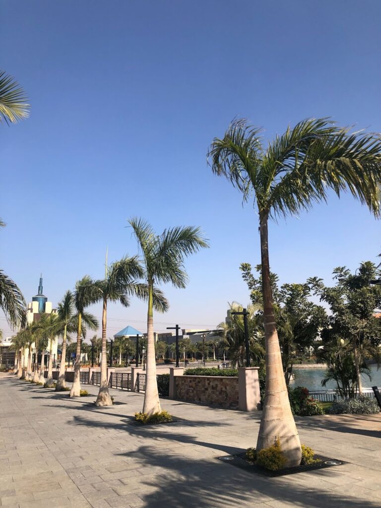 strolling around egypt using an eSIM