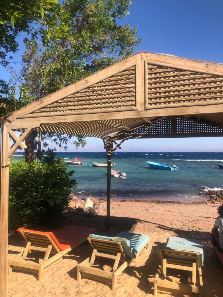 enjoying a day at the beach