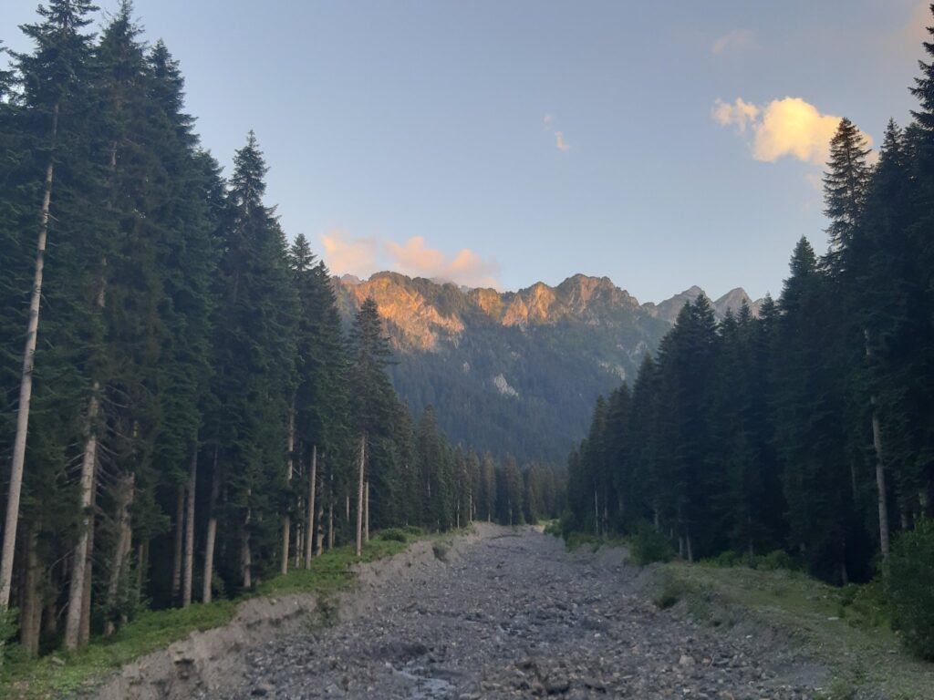 A nice mountain retreat in Shovi