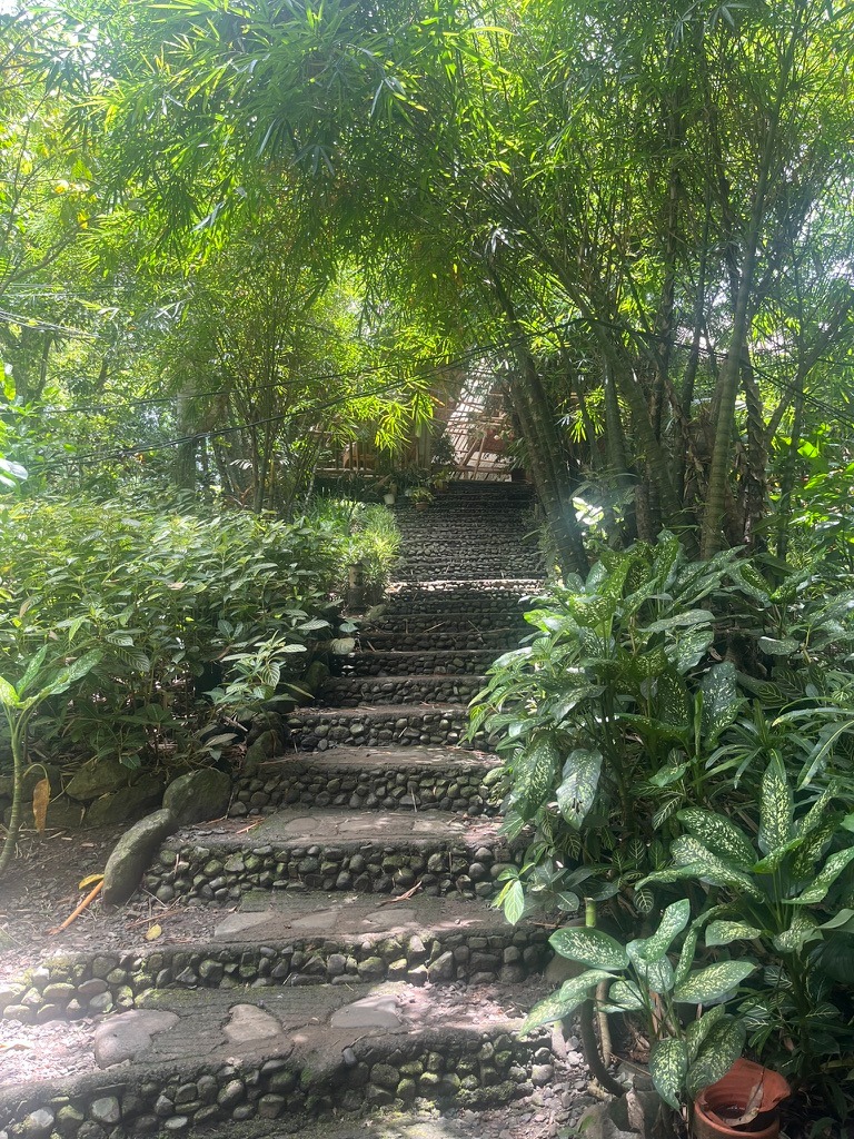 forest sanctuary in antipolo