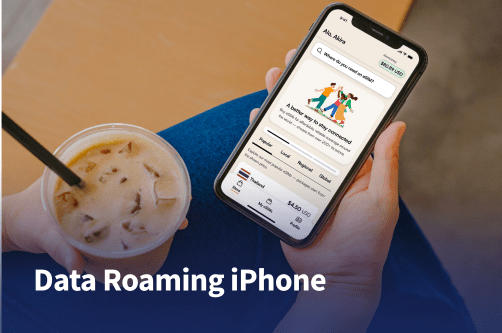 data roaming iphone hero