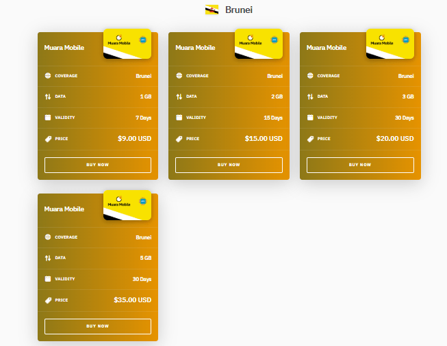 brunei esim provider: airalo