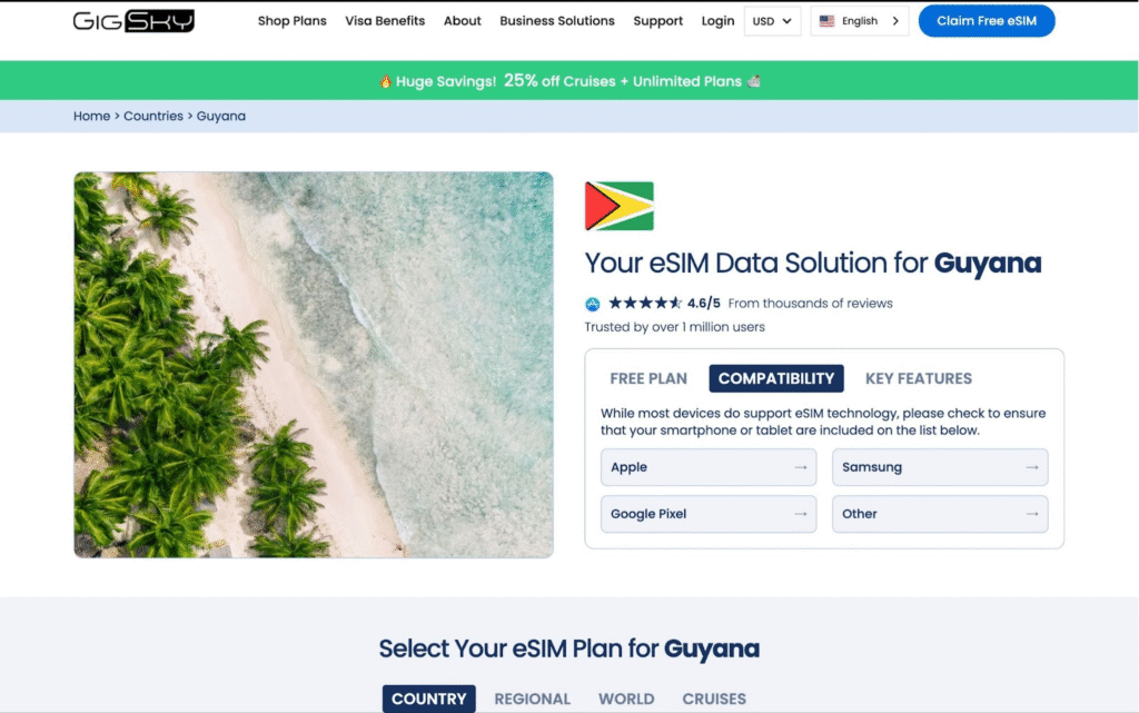 gigsky homepage: guyana esim provider