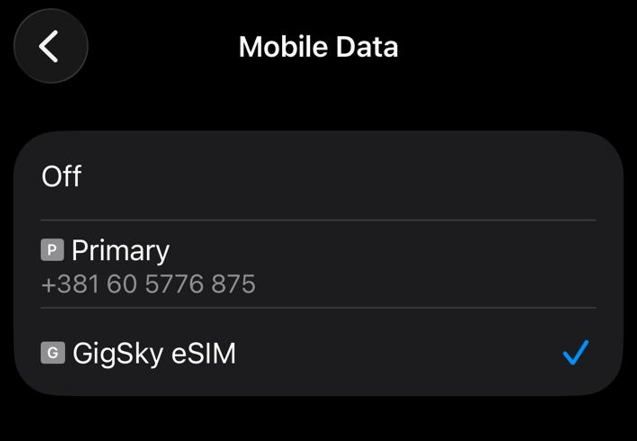 gigsky esim set as primary data line