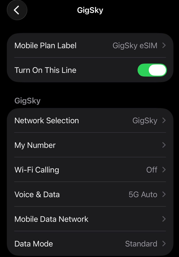 gigsky esim in settings