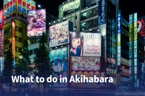 what to do in akihabara hero