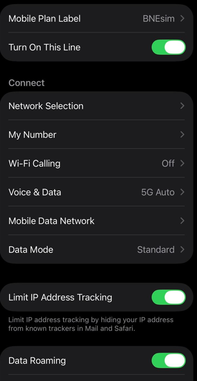 bnesim setup in settings